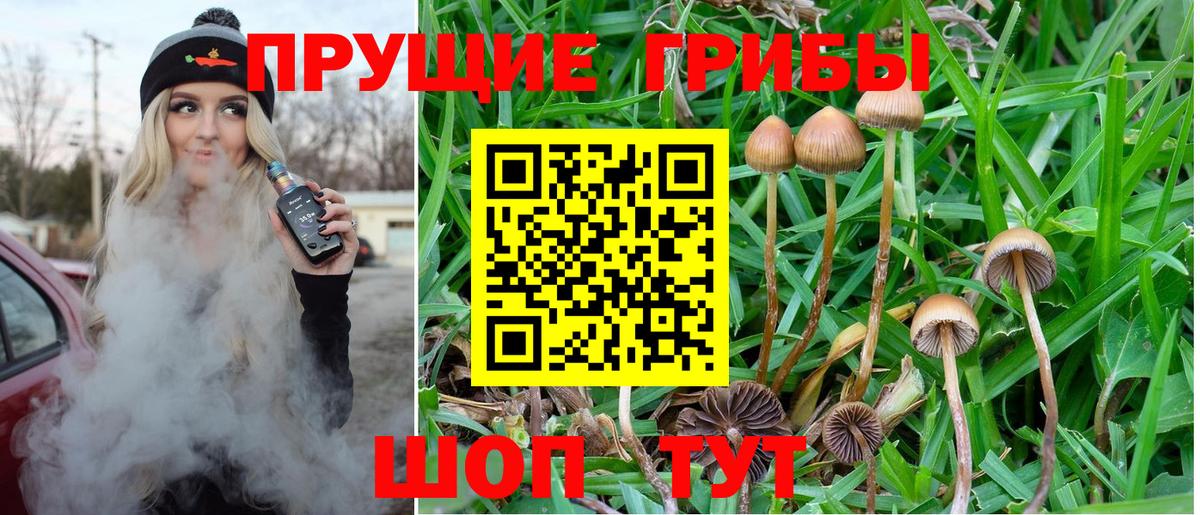 Меф Краснознаменск