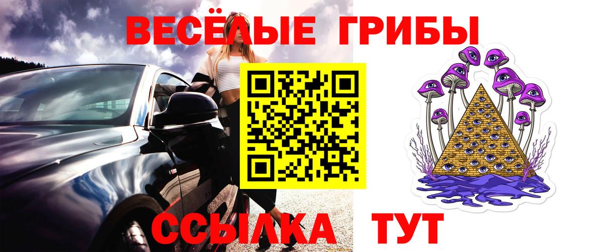Псилоцибиновые грибы мухоморы  Вход с VPN  где найти   Галлюциногенные грибы Psilocybine cubensis  Краснознаменск 